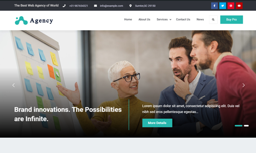 Elite Business Agency (Firefly Themes)