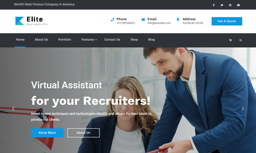 Elite Business Pro (Firefly Themes)