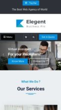 Elite Business Pro (screenshot mobile)