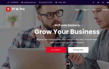 FF Multipurpose Pro (screenshot desktop)