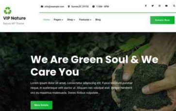 Vip Business Nature (screenshot desktop)