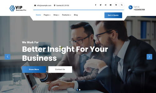 VIP Business Pro (Firefly Themes)