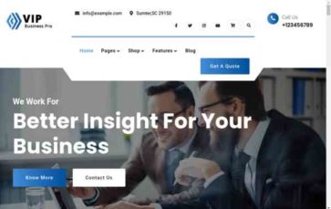 VIP Business Pro (screenshot desktop)