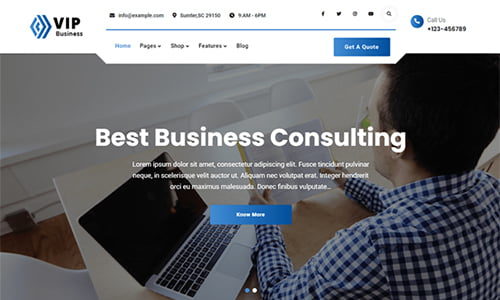VIP Business (Firefly Themes)