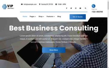 VIP Business (screenshot desktop)