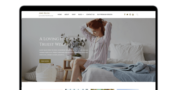 Awe Blog Pro (Flawless Themes)