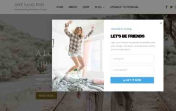 Awe Blog Pro (screenshot desktop)