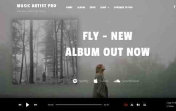 Music Artist Pro (screenshot desktop)