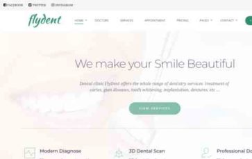 FlyDent (screenshot desktop)