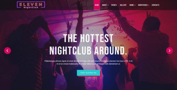 Eleven Pro (FlyThemes)