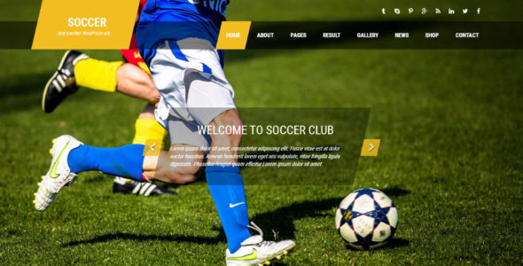 Soccer Pro (FlyThemes)