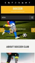 Soccer Pro (screenshot mobile)