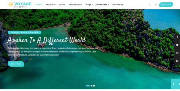 Voyage Pro (FlyThemes)