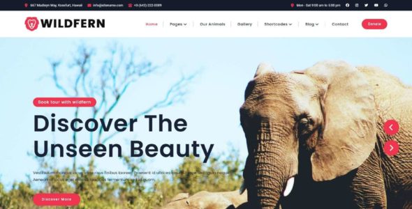 Wildfern Pro (FlyThemes)