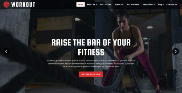 Workout Pro (FlyThemes)