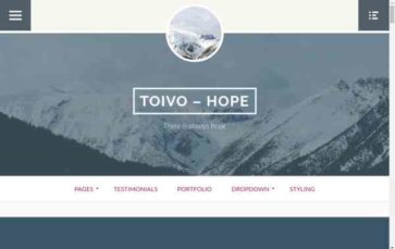 Toivo Lite (screenshot desktop)
