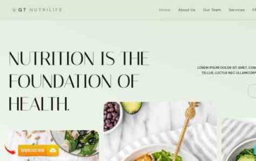 GT Nutrilife (screenshot desktop)