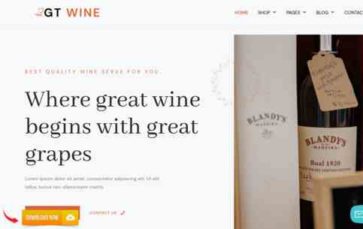 GT Wine (screenshot desktop)