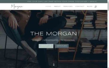 The Morgan (screenshot desktop)