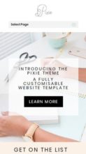 The Pixie (screenshot mobile)