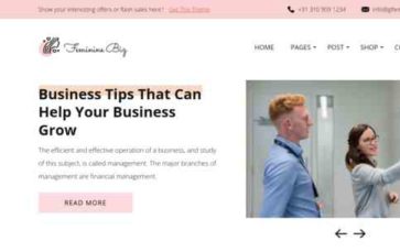 Feminine Business (screenshot desktop)