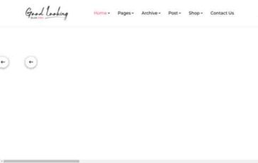 Good Looking Blog Pro (screenshot desktop)