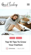 Good Looking Blog Pro (screenshot mobile)