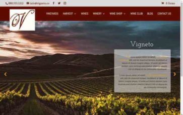 Vigneto (screenshot desktop)