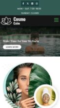 CosmoCalm Pro (screenshot mobile)