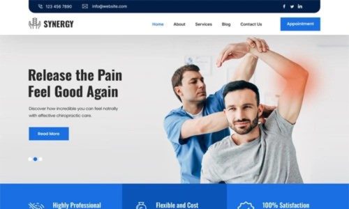 Synergy Pro (Grace Themes)