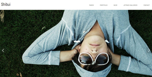 Shibui (Graph Paper Press)