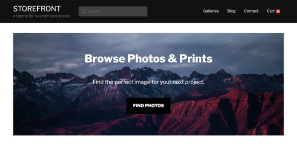 Storefront (Graph Paper Press)