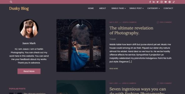 Dusky Blog Pro (Graph Themes)