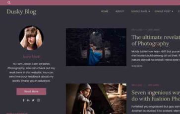 Dusky Blog Pro (screenshot desktop)