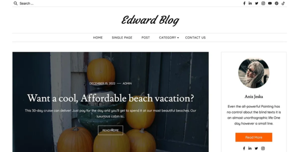 Edward Blog Pro (Graph Themes)