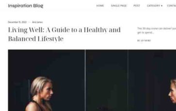 Inspiration Blog Pro (screenshot desktop)