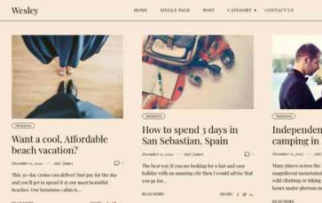 Wesley Pro (screenshot desktop)