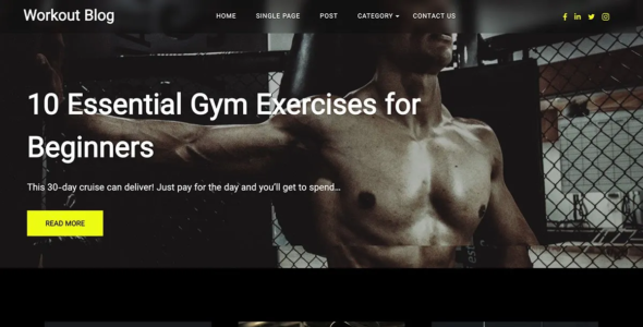 Workout Blog Pro (Graph Themes)