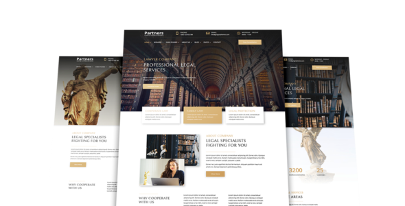 Partners (Gregory THEMES)
