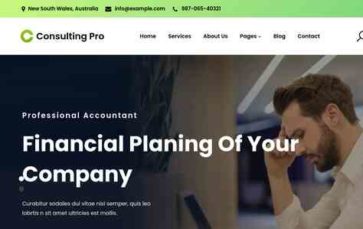 Gutenify Consulting Pro (screenshot desktop)