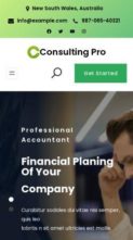 Gutenify Consulting Pro (screenshot mobile)