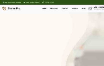 Gutenify Starter Pro (screenshot desktop)