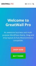 GreatWall Pro (screenshot mobile)