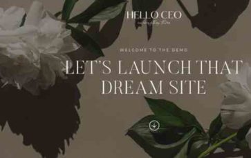 K Hello CEO (screenshot desktop)