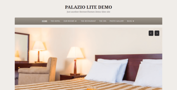 Palazio Lite (HermesThemes)