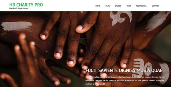 HB Charity Pro (Hummingbird Themes)