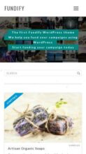 Fundify (screenshot mobile)