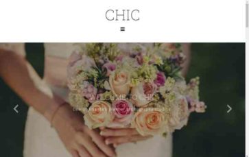 Chic (Imagely) (screenshot desktop)