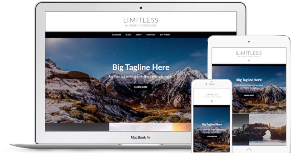 Limitless (Imagely)