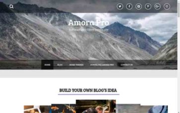 Amora Pro (screenshot desktop)